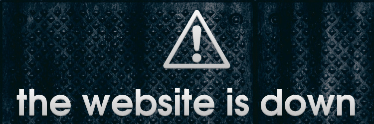 website down does not have to happen to you when you use a WordPress support services team
