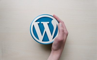 WordPress 5.5 Upgrade Statement